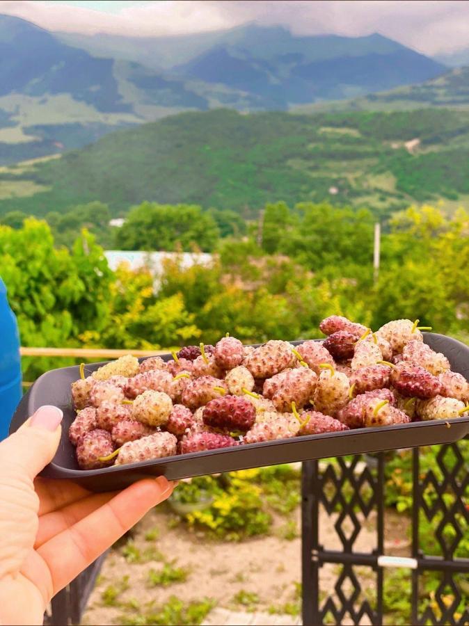 Ana-Maria Bnb Tatev Εξωτερικό φωτογραφία